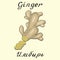 Ginger. Vector drawing and hand-lettering. In English and Russian texts