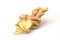 The ginger on white background Ginger is an annual plant. With underground rhizomes The outer shell is yellowish brown. The meat