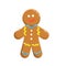 Gingerbraed cookie vector