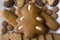 Gingerbread Christmas tree and an assortment of Christmas cookies
