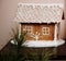 Gingerbread cinnamon house and decorated Christmas tree, in a dark juicy tone. Life style
