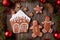 Gingerbread house, man and woman, stars christmas
