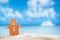 Gingerbread man on beach with seascape background