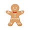 Gingerbread man cookie isolated. Christmas pastries.