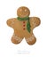 Gingerbread man decorated colored icing. Holiday cookie in shape of man.