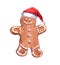 Gingerbread man in red holiday hat. Watercolor ginger bread cookies for Christmas