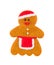 Gingerbread man on a white background. Isolated on white. Homemade Christmas gingerbread. Painting on gingerbread.