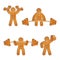 Gingerbread men at the gym
