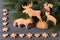 Gingerbread in the shape of animals, stars and hearts. In the background of twigs Christmas trees.