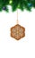 Gingerbread snowflake on christmas tree