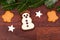 Gingerbread snowman and spruce twig