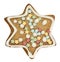 Gingerbread star with clipping path