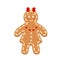 Gingerbread woman. Christmas icon.