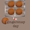 Gingersnap Day