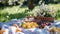 Gingham blankets, fresh fruit, and sunshine evoke a delightful spring picnic