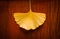 Gingko leaf