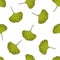 Gingko leaf seamless doodle pattern