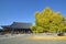 Gingo yellow leaves at Nishi Honganji Temple