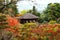 Ginkakuji or silver Pavilion by top view, Kyoto