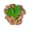 Ginkgo Biloba leaf with pills.