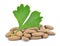 Ginkgo Biloba leaf with pills