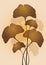 Ginkgo biloba leaves vector illustration