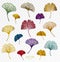 Ginkgo biloba, oak, linden, chestnut leaf set. Vector colorful isolated and silhouette objects. Botanical multicolored glitter