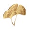 Ginkgo or Gingko Biloba golden leaves. Nature botanical gold illustration, decorative metal graphic isolated over white