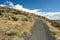 Ginkgo petrified forest state park