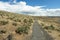 Ginkgo petrified forest state park