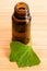 Ginko biloba essential oil with fresh leaves