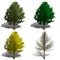 Ginko biloba tree rendering showing four season