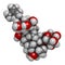 Ginsenoside Rg1 ginseng molecule. 3D rendering. Atoms are represented as spheres with conventional color coding: hydrogen white