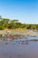 Gippo pool in savanna of Serengeti, Tanzania.