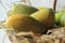 The Gir Kesar mango, also called Kesar, is a mango cultivar grown in the foothills of Girnar in Gujarat, western India. It is