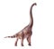 Giraffatitan Brachiosaurus is a herbivore genus with a long neck and a large body dinosaur