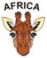 Giraffe and Africa