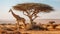 Giraffe in African savanna