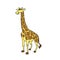 Giraffe african savannah animal cartoon vector