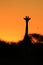 Giraffe - African Wildlife Background - Golden Beauty
