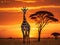 A giraffe against a vibrant orange sky on the African plains at dusk