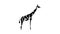 giraffe animal glyph icon animation