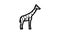 giraffe animal line icon animation