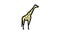 giraffe animal in zoo color icon animation