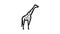 giraffe animal in zoo line icon animation