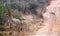 Giraffe with background of a road with gazelles