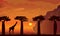 Giraffe, baobabs tree, sunset, africa