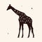 Giraffe and birds on wires. Animal silhouette. Starry sky texture