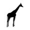 Giraffe black icon .