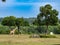 Giraffe at Calauit Safari Park